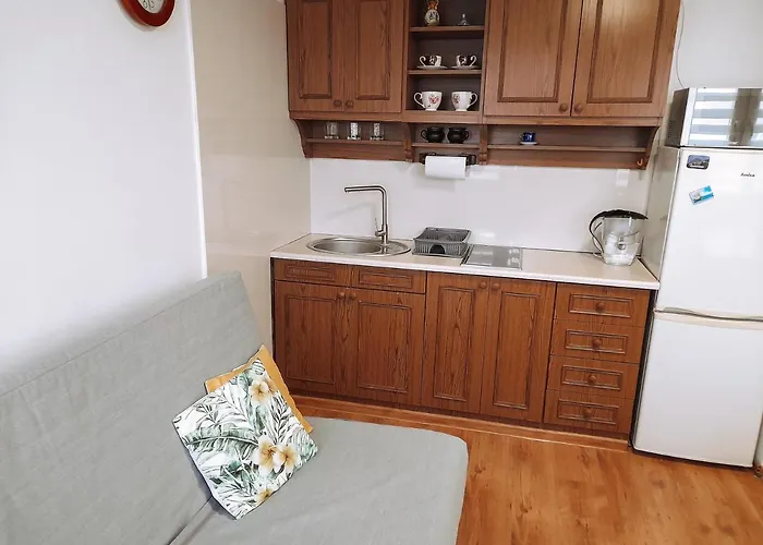 44 דירה ודוביצה